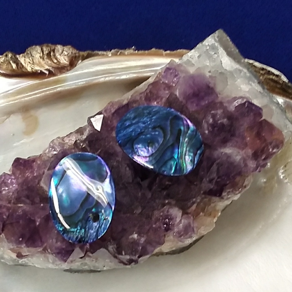 Genuine Mother of Pearl Paua Shell Clips